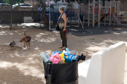Suciedad y basura en las calles de algunos barrios de Málaga este martes 22 de julio de 2025.