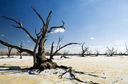 cambio clim&aacute;tico