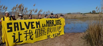 Activistas de Acci&oacute; Ecologista-Agr&ograve; en el marjal de El Puig.