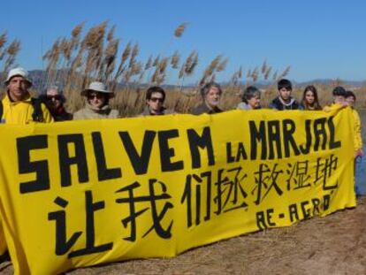 Activistas de Acci&oacute; Ecologista-Agr&ograve; en el marjal de El Puig.