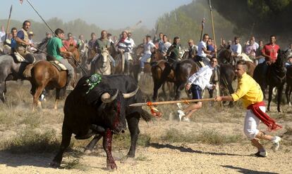 <b>"Me siento como Cristiano Ronaldo".</b> Óscar Bartolomé Hernández, alias Zamorano, pronunció esta frase en 2011 tras acabar con la vida de 'Afligido', un toro de 608 kilos. Celebró al término del torneo cómo le había clavado varias veces la lanza al animal en el brazuelo izquierdo y cómo se hacía un hueco en la historia de los festejos, ya que en 2003, con solo 19 años, ya había matad al toro Gañaflero. "Me siento como Cristiano Ronaldo. Eres como Dios", sentenció.