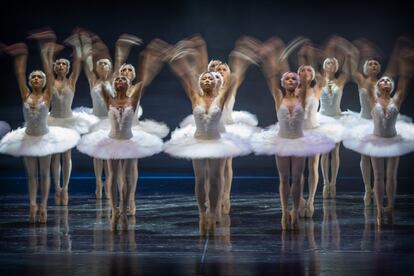 Representación de la obra de danza 'El lago de los cisnes' en el Teatro de la Maestranza de Sevilla.