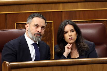 El líder de Vox, Santiago Abascal, y la diputada del mismo partido, Pepa Millán, este martes en el Congreso.