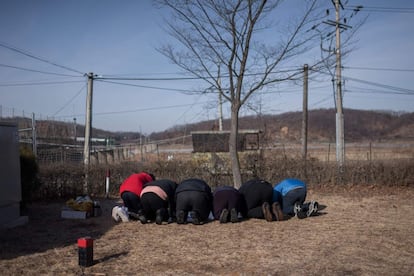 A Zona Desmilitarizada (DMZ), essa linha que divide a península coreana entre norte e sul ao longo do paralelo 38, é a fronteira com o nome mais enganoso do mundo. Desde 1953, quando a assinatura de um armistício pôs fim aos combates –mas não à guerra – entre as duas Coreias, consumando a divisão de famílias, propriedades e estradas, esta tem sido uma das áreas com maior presença militar em todo o mundo. Com 248 quilômetros de comprimento e 4 de largura, esta faixa, onde há 64 anos não pisa nenhum ser humano, se transformou em um santuário ecológico involuntário, no qual se refugiaram espécies que já não são mais encontradas em outros lugares.