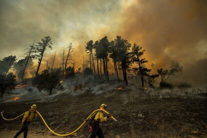 Bomberos en uno de los frentes del Kicade Fire en Sonoma, el sábado.