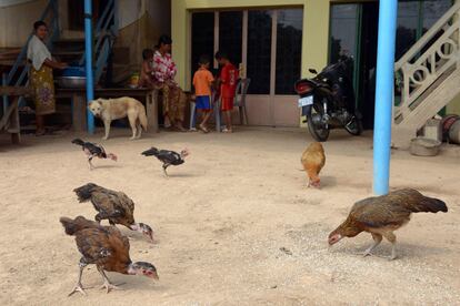 Gripe aviar Camboya