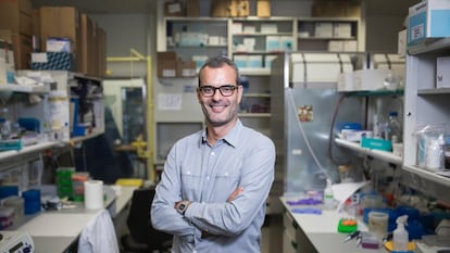 Salvador Aznar-Benitah, jefe del Programa de Envejecimiento y Metabolismo del Instituto de Investigación Biomédica de Barcelona (IRB), en los laboratorios del centro de investigación.