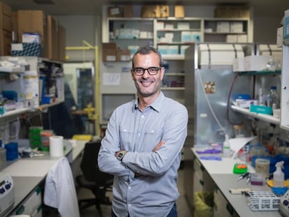 Body’s circadian clocks