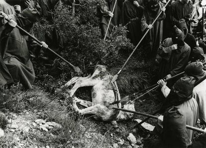 Fotograma de la película 'Lejos de los árboles', que proyectará la Filmoteca Española.