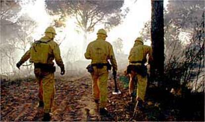 Tres miembros de uno de los retenes del Infoca, ayer, en el incendio de Andújar.