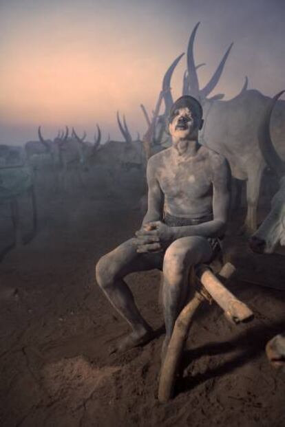 Joven mundari junto a sus  vacas al atardecer, en uno de los 'cattle camp' que pueblan las islas del Nilo Blanco, Sudán del Sur.