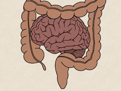 Riki Blanco: Tracto intestinal
