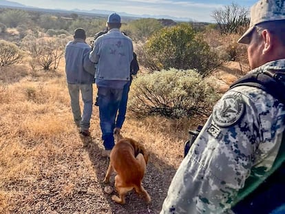 elemento de la Guardia Nacional junto con otras personas cargan a Don Goyo de vuelta a casa, luego de haber sido guiados hasta él por su perro