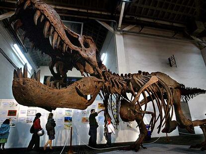 Réplica de un esqueleto de Tyrannosaurus Rex en la Expominer de 2003.