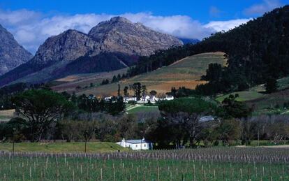 Vi&ntilde;edos en Franschhoek, cerca de Ciudad del Cabo.