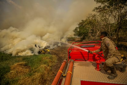 Un agente del ICMBio (Instituto Chico Mendes para la Conservación de la Biodiversidad) lanza agua hacia uno de los incendios del Pantanal, el 16 de noviembre.
