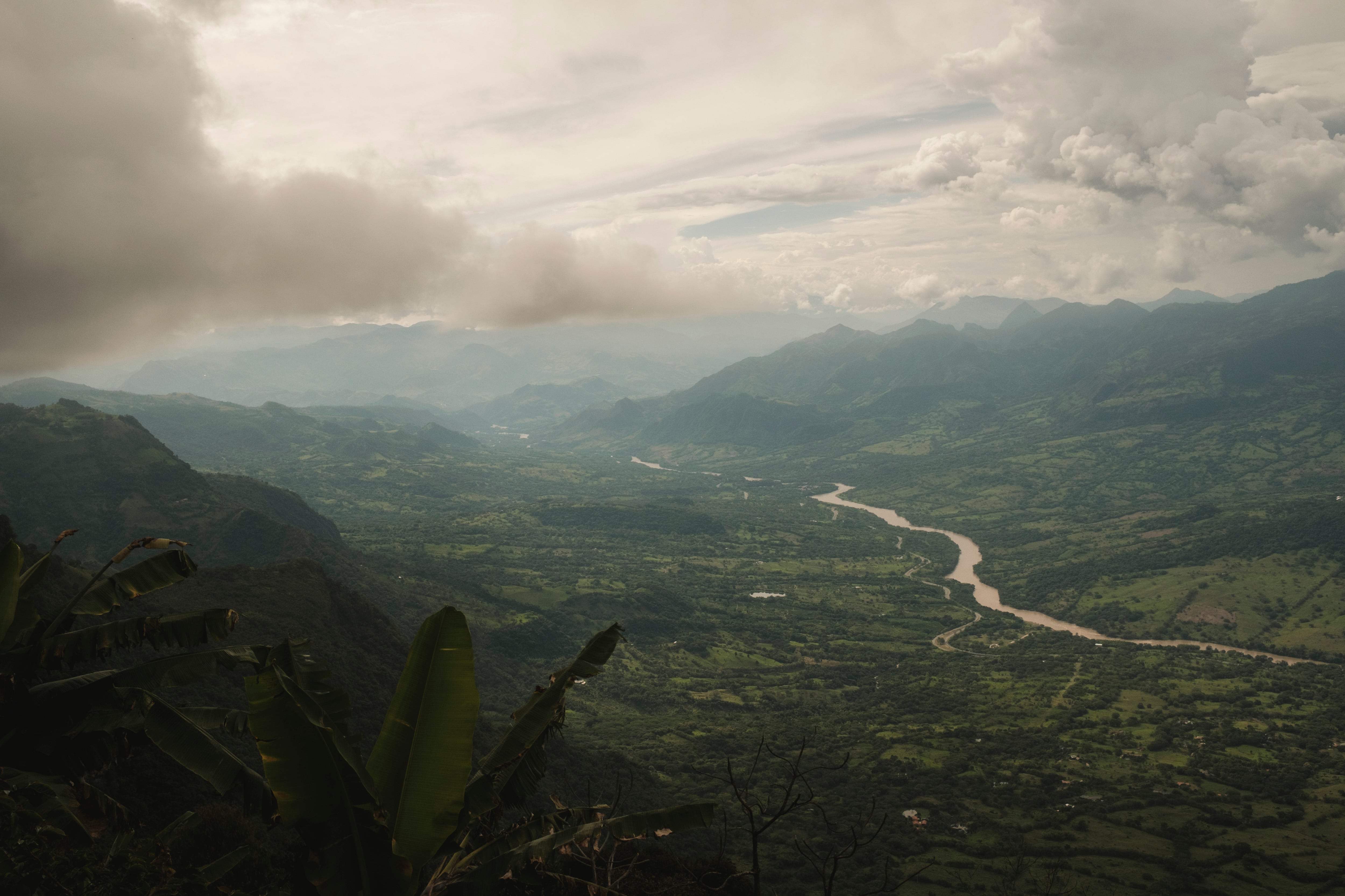 América Latina repite como la región más letal para defender el ambiente y la tierra: reportó el 85% de los casos en 2025