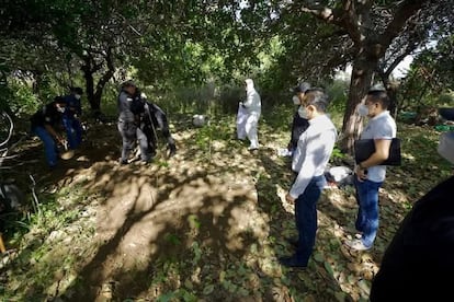 Elementos de seguridad catean uno de los predios ubicados donde localizaron fosas clandestinas, en La Concordia, Chiapas. El pasado 28 de diciembre.