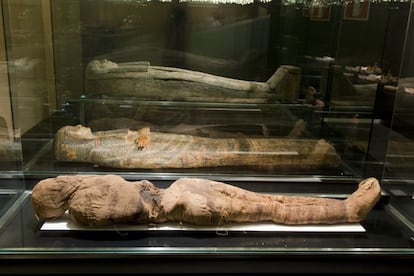 Egipto también tiene su lugar en este panorama por las momias de la historia. En este ejemplo se puede apreciar cómo el cuerpo se envolvía en largas vendas de lino, a veces empapadas en resinas, siguiendo complejos patrones.