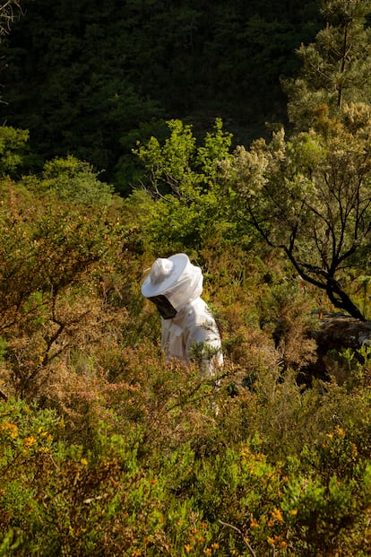 Manuel Méijome, uno de los fundadores del proyecto Alariça, subiendo de la Alvariza de Sofía en la Serra do Candán (Pontevedra).