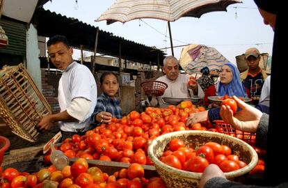 Un puesto de venta de tomates en El Cairo (Egipto).