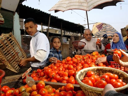 Un puesto de venta de tomates en El Cairo (Egipto).