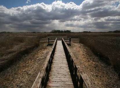 Las Tablas de Daimiel, en Ciudad Real, en 2007. El humedal es uno de los termómetros del avance de la sequía en España.