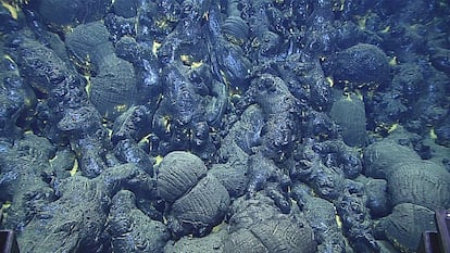 En las dorsales oceánicas y las erupciones en islas que llegan al mar es la habitual la formación de lavas almohadilladas como las de la imagen.