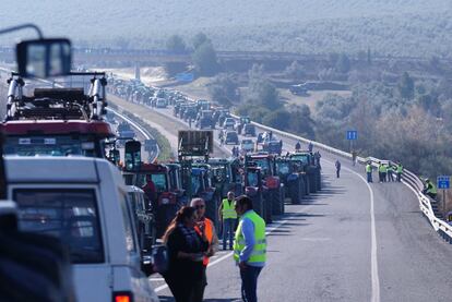 Más de 5.000 tractores y otros vehículos de agricultores y ganaderos, convocados por las organizaciones agrarias Asaja, COAG y UPA y Cooperativas Agroalimentarias, colapsan la carretera autonómica A-318 a la altura de Puente Genil (Córdoba).