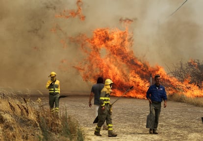 Las Brigadas de Refuerzo luchaban ayer contra el fuego en un campo de trigo en Tábara (Zamora).