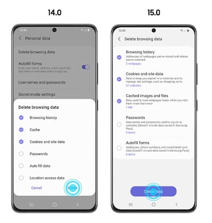 Borrado de datos en las versiones 14 y 15 del navegador.