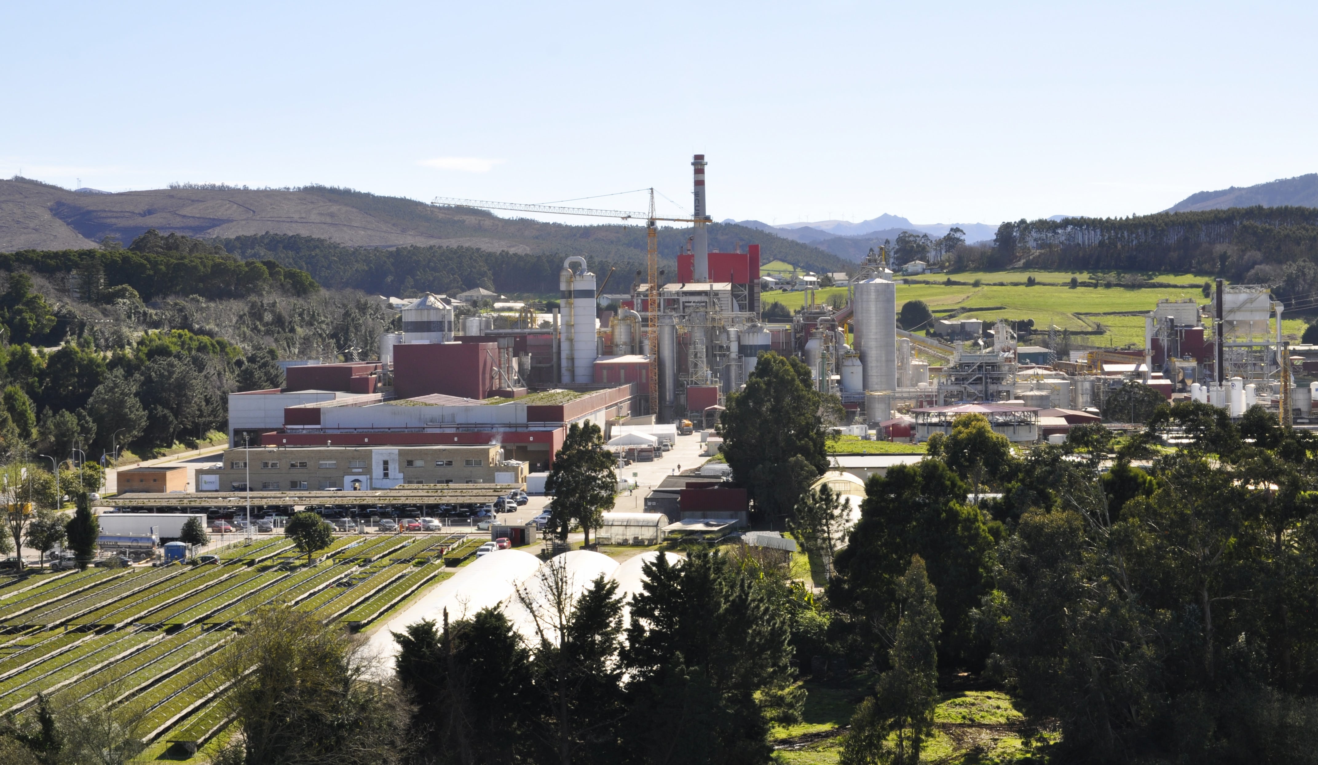 Ence prevé un impulso de su cuenta de resultados desde mayo gracias a la apreciación de la celulosa