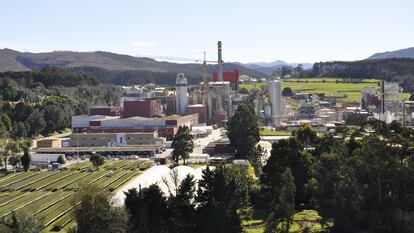 Biofábrica de celulosa de Ence en Navia (Asturias).