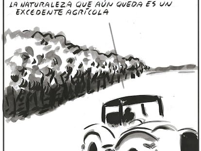 El Roto