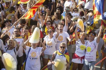 Imatge de la manifestaci&oacute; de la Diada.