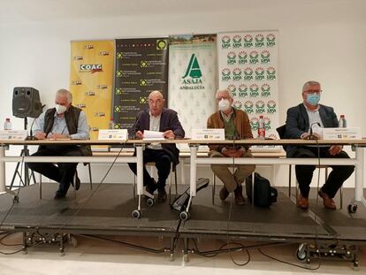Los responsables de COAG, UPA, Asaja y Cooperativas Agroalimentarias en Andalucía durante el acto en el que han pedido un cambio en el decreto de ayudas de la PAC.