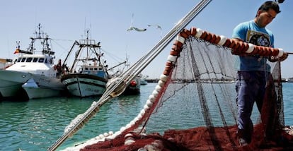 Imagen de la flota pesquera del puerto de Barbate, en Cádiz.