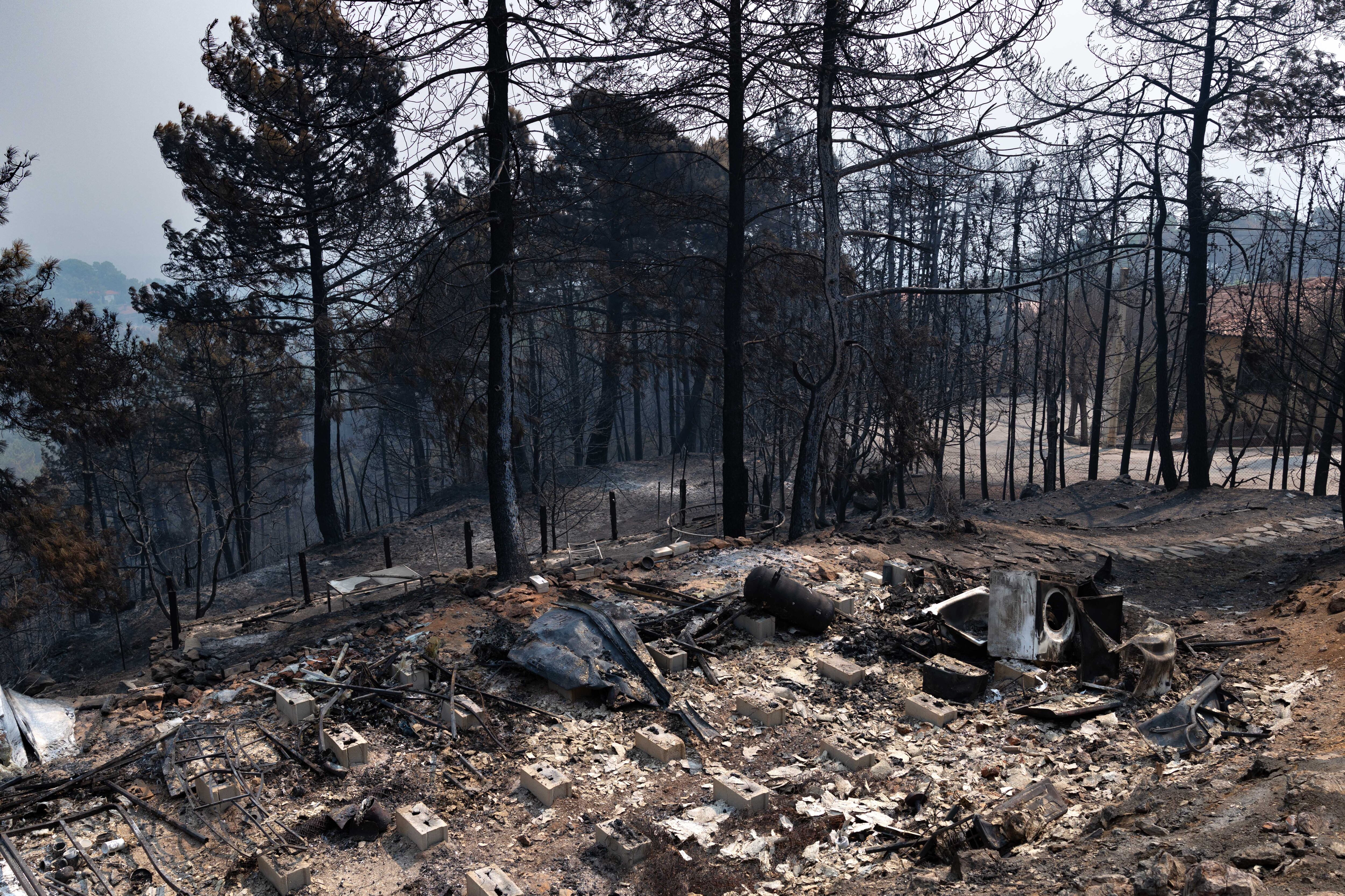 Los restos de una casa de madera carbonizada en la urbanización de La Atalaya.