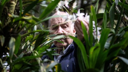 Carlos Uribe Velez, en el bosque donde tiene mas de 600 especies de orquídeas, en su finca cerca a Bogotá, el 22 de diciembre del 2023.