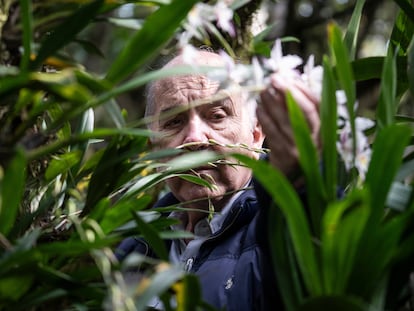 Carlos Uribe Velez, en el bosque donde tiene mas de 600 especies de orquídeas, en su finca cerca a Bogotá, el 22 de diciembre del 2023.
