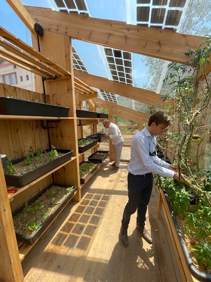 Vicent Guallart, director de Valldaura Labs, y Daniel Ibáñez, director de IAAC, en el interior del invernadero solar diseñado y construido por alumnos.