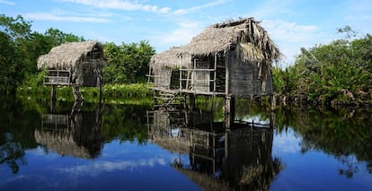 Ruta en barcaza por La Tovara, una jungla de manglares y canales en San Blas con gran biodiversidad.