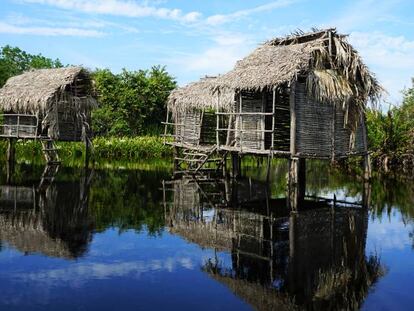 Ruta en barcaza por La Tovara, una jungla de manglares y canales en San Blas con gran biodiversidad.