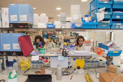 Dos investigadoras en un laboratorio del CHUAC.