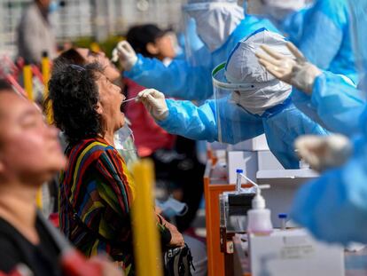 Las imágenes del día, 12/10/20