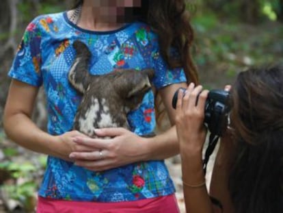 Estos animales salvajes son capturados en la Amazonia peruana para ser usados como atracciones turísticas