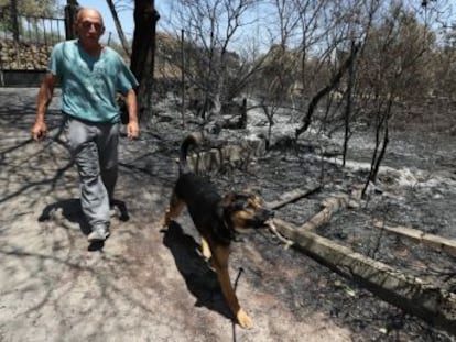 La zona del mayor incendio en la Comunidad de Madrid en lo que va de siglo es de alto valor ecológico
