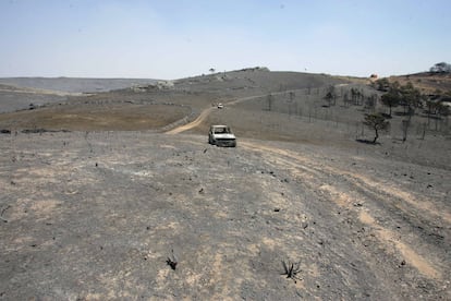 Cd- 158  19/07/2005  Los dos vehículos todoterreno en los que viajaban parte de los 11 agentes forestales fallecidos en las tareas de extinción del incendio que ha devastado más de 12.000 hectáreas en Guadalajara. En primer plano, el coche ocupado por el jefe del retén.
