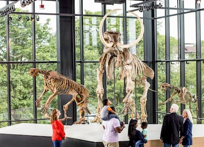 La galería de paleontología del Burke Museum, en Seattle (Estados Unidos).