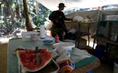 Agente do Ibama examina um acampamento de garimpeiros nas margens do rio Uraricoera.